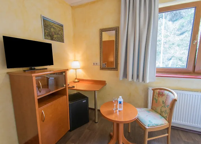 Otel Aux Tanneries De 3*