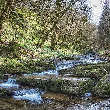 酒店 Aux Tanneries De