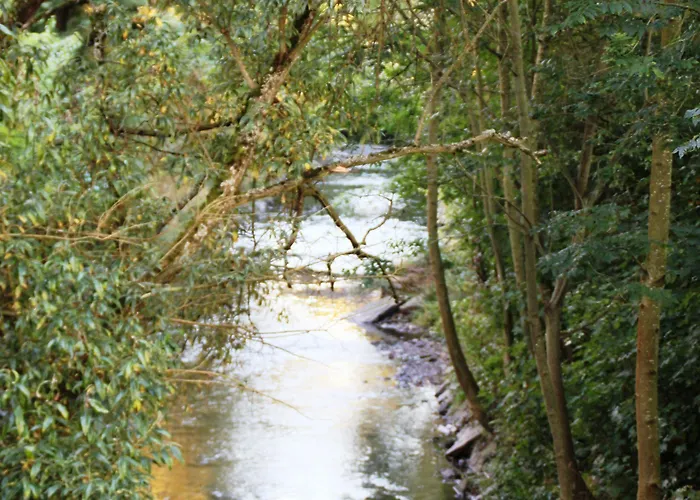 Aux Tanneries De 호텔 3*